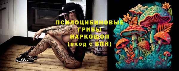 дживик Наволоки